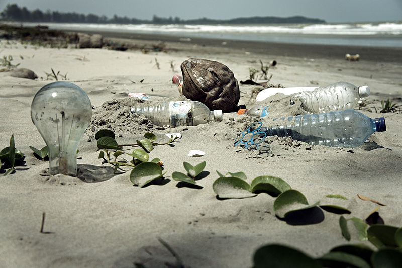 800px-Water_Pollution_with_Trash_Disposal_of_Waste_at_the_Garbage_Beach - Copy