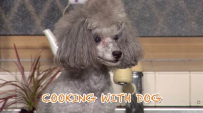 Cooking with Dog: A Youtuber Review