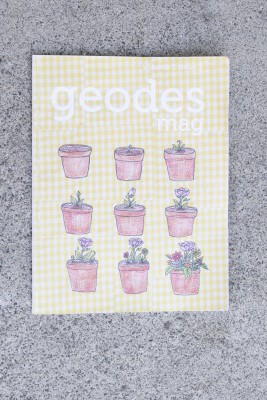 The Geodes Magazine cover page featuring tiny potted plants. (Belana Beeck)