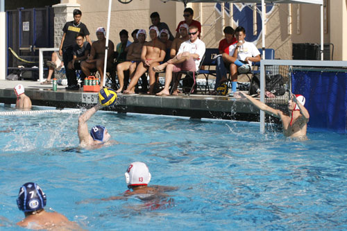 Water Polo Captains Plan to Place Team on Top