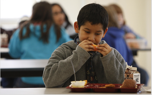 Michael Saucedo, age 9, at an orange slice at Russell Cave Elementary School in Lexington, Ky. Source: TNS