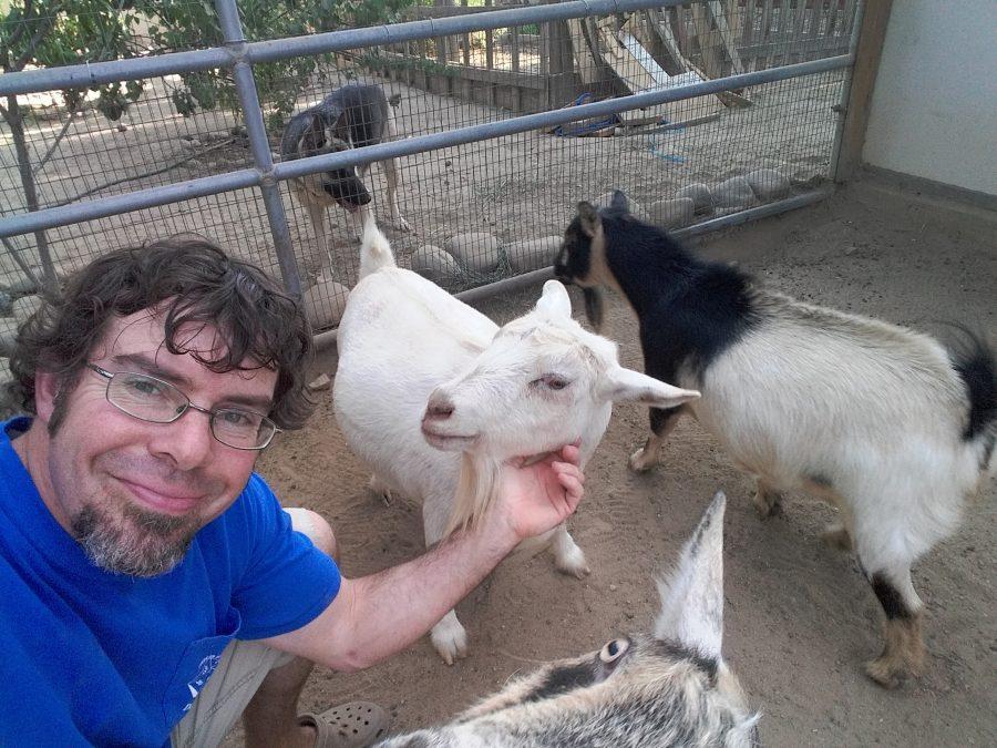 The man with three goats and a goatee