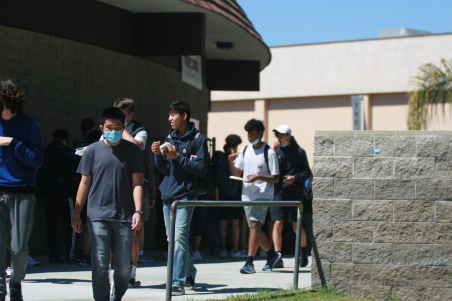 Students walking away from the cafeteria, enjoying lunch.