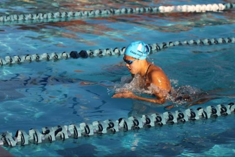UHS swimmer competes at Beckman meet