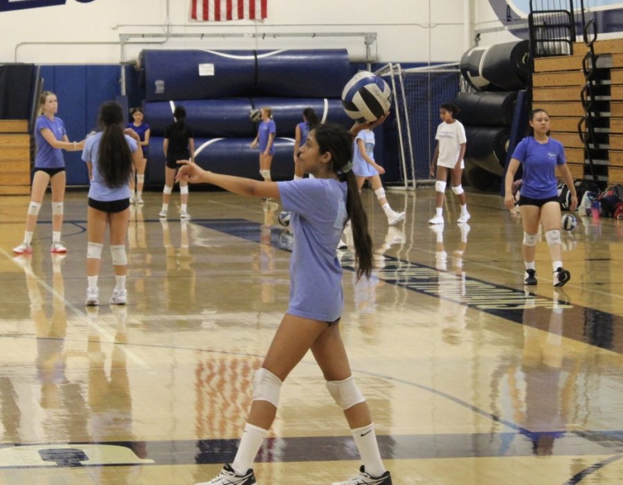 Senior Varsity Player, gets ready to serve the ball at practice, at the University High School gymnasium.
