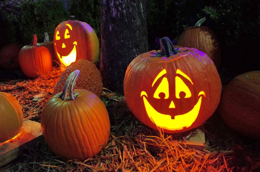 Carving+pumpkins+is+one+option+to+celebrate+Halloween+this+year.