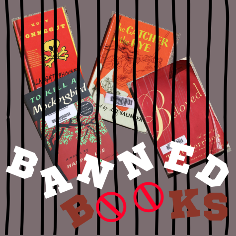 Banned Books Graphic