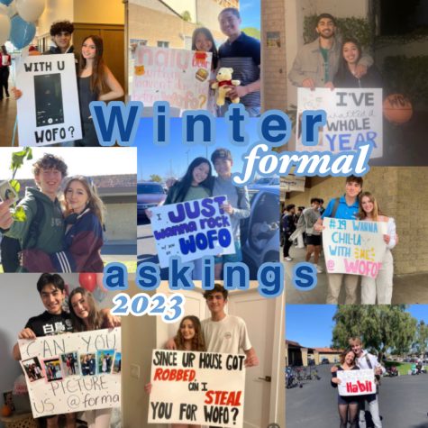 Several Winter Formal askings included custom-made posters. 