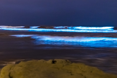 The bioluminescent tide at Dog Beach (Del Mar North Beach) in Del Mar.