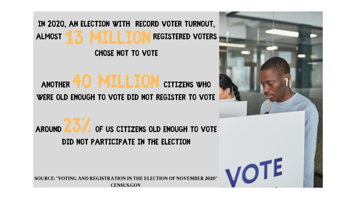 voter+infographic