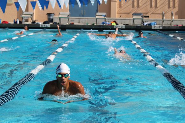 Boys Swim is one of many spring sports set to compete this season.