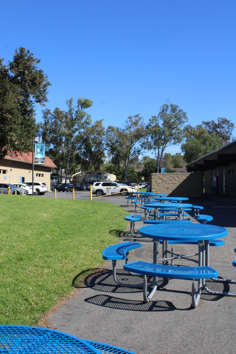 Lunch periods, at the moment, limit opportunities for students due to their short length. As a result, lunch periods should be made longer to ensure students can take advantage of these opportunities. 